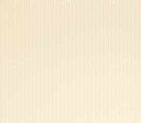 Обои Thibaut Menswear Resource (T1008)